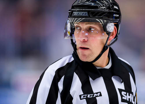 Domare Morgan Johansson