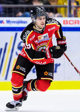 Luleås Ryan Johnston