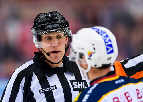Domare Morgan Johansson