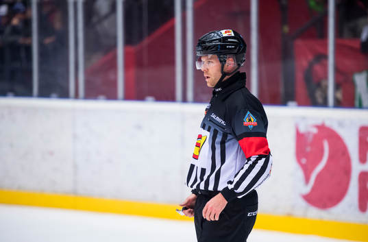 Domare Filip Sandstedt