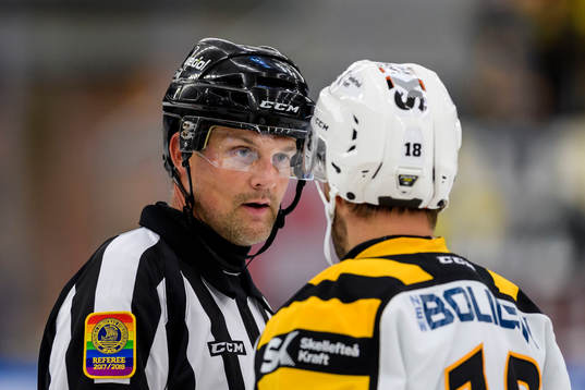 Domare Mikael Nord
