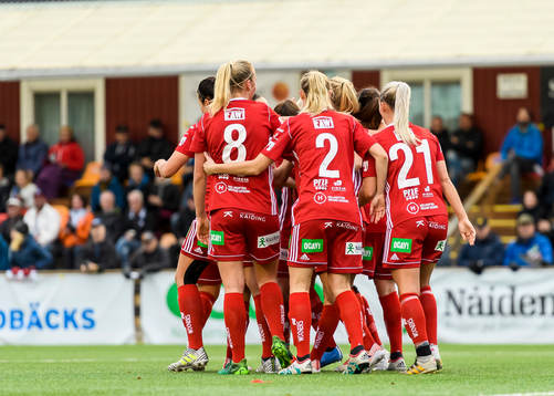 Piteåspelarna jublar
