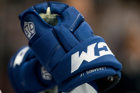 Leksands handske i ishockeymatchen i HockeyAllsvenskan