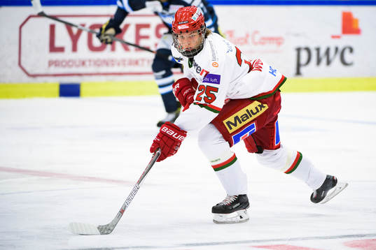Modos Lukas Wernblom