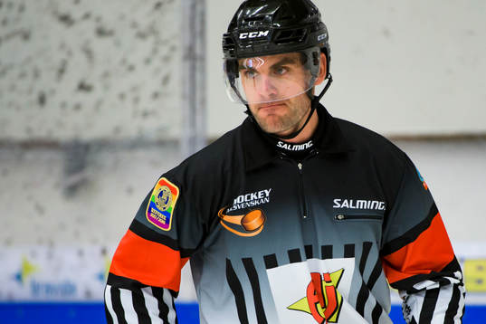 Domare Richard Magnusson
