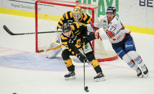 Skellefteås Jonathan Pudas