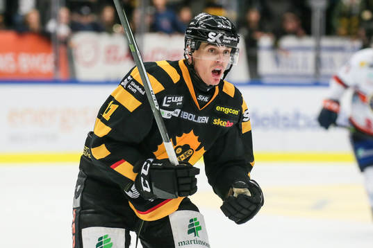 Skellefteås Henrik Hetta
