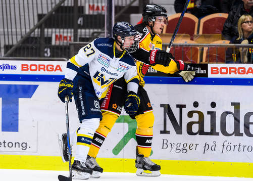 s David Gustafsson