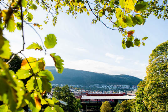 General view of Brann stadion