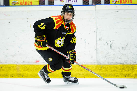 Brynäs Anna Borgqvist