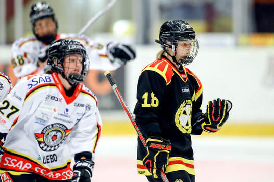 Brynäs Anna Borgqvist deppar