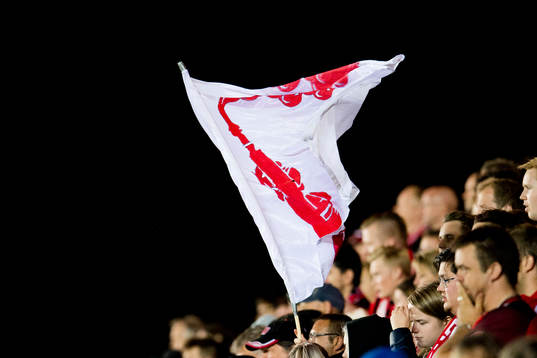 A flag among the supporters of Brann