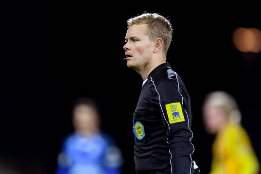 Domare Fredrik Klitte