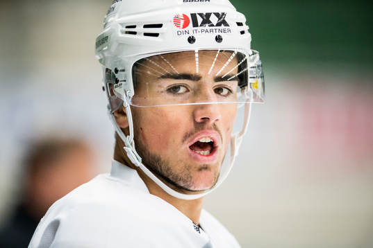 Rögles Alen Bibic