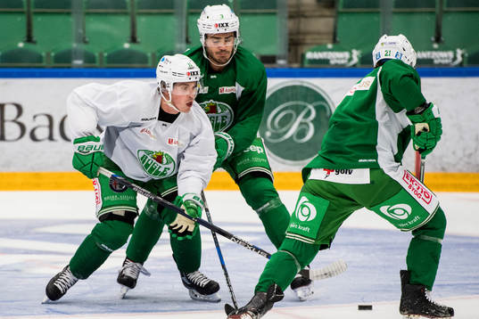 Rögles Bryan Lerg och Almen Bibic