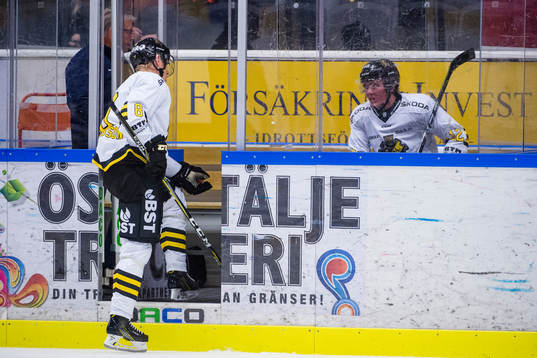 s Albin Johansson och Max Lindholm i utvisningsbåset