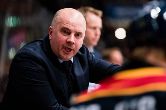 Djurgårdens assisterande tränare Stefan Nyman
