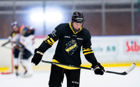 s Sara Hjalmarsson deppar