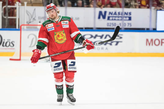 Moras Viktor Amnér deppar i ishockeymatchen i SHL mellan
