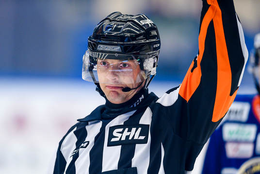 Domare Mikael Andersson