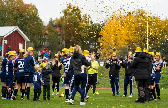 Kovlands lag jublar då Kovland vunnit serien Div 2