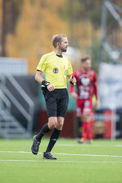 domare Johan Hamlin