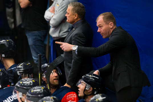 Johan Lindbom head coach of HV71