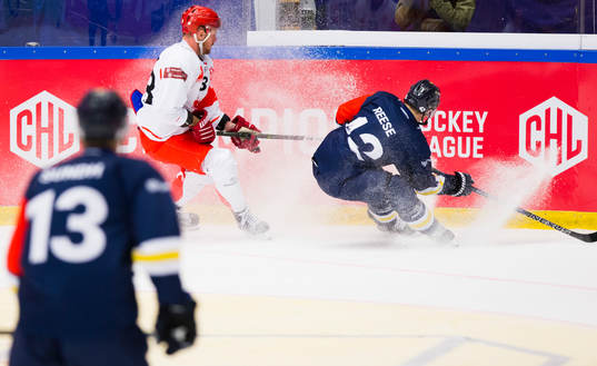 Martin Adamsky of Ocelari Trinec against Dylan Reese of HV71