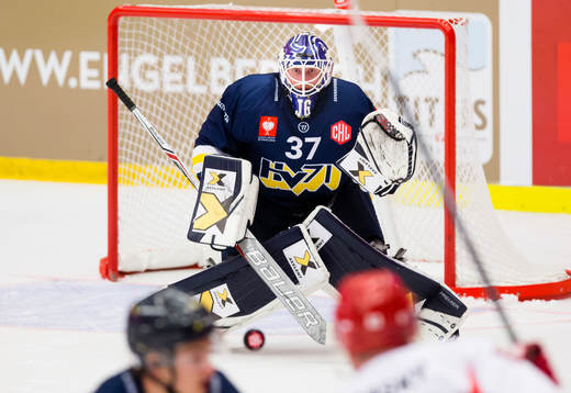 Goalkeeper Jonas Gunnarsson of HV71 makes a save