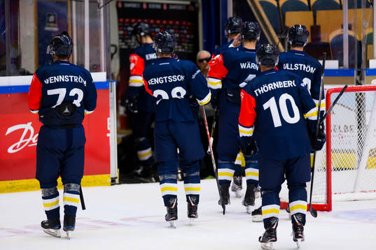 Players of HV71 leaves the ice