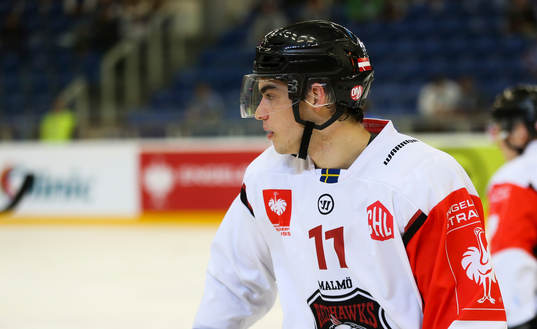 Ishockey, CHL BRNO,CZECH REPUBLIC,03.OCT.17 - ICE HOCKEY -