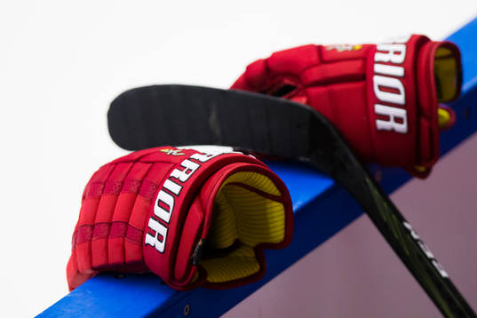 Gloves and a stick