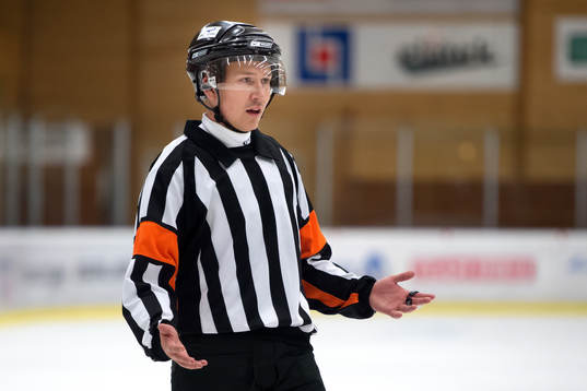 Domare Karl Larsson