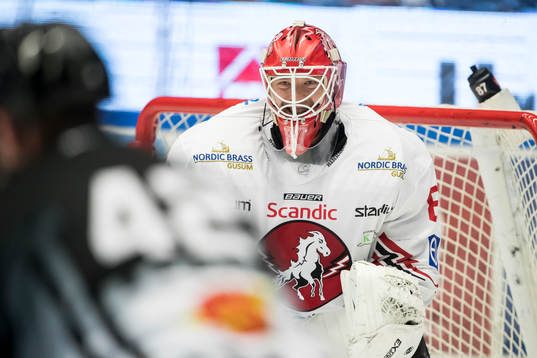 Vita Hästens målvakt Pontus Sjögren  i ishockeymatchen i