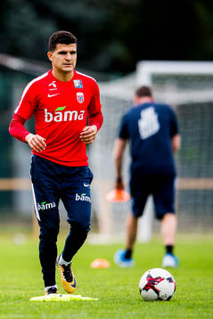 Tarik Elyounoussi