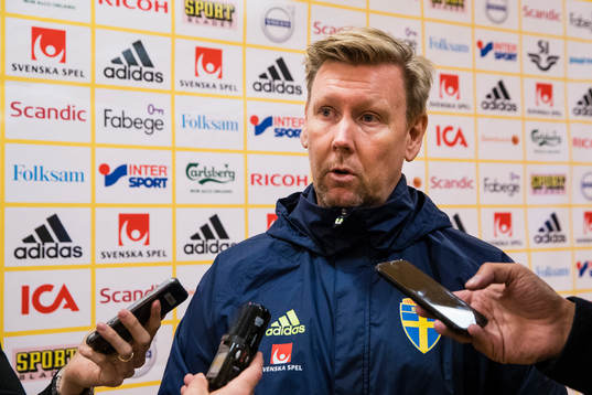 Sveriges assisterande förbundskapten Peter Wettergren