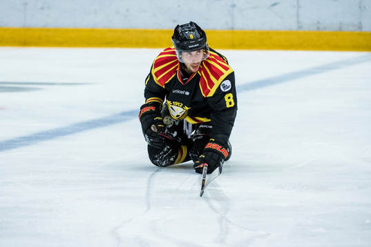 Brynäs Aaron Palushaj deppar