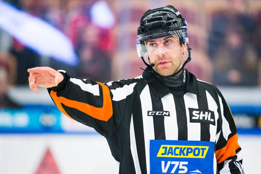 Domare Mikael Sjöqvist