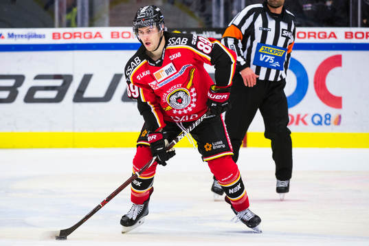 Luleås Ryan Johnston