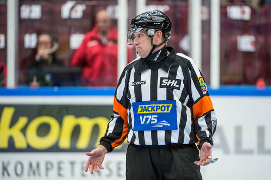 Domare Morgan Johansson