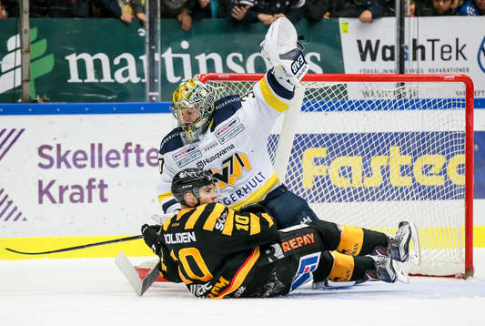s målvakt Linus Söderström