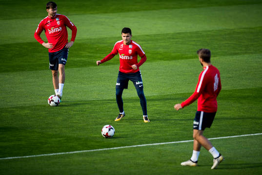 Ole Kristian Selnæs and Tarik Elyounoussi of Norway