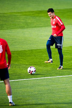 Tarik Elyounoussi of Norway