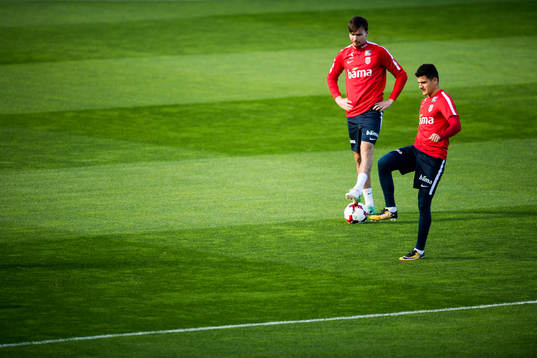 Ole Kristian Selnæs and Tarik Elyounoussi of Norway