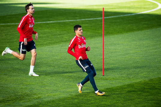 Ole Kristian Selnæs and Tarik Elyounoussi of Norway