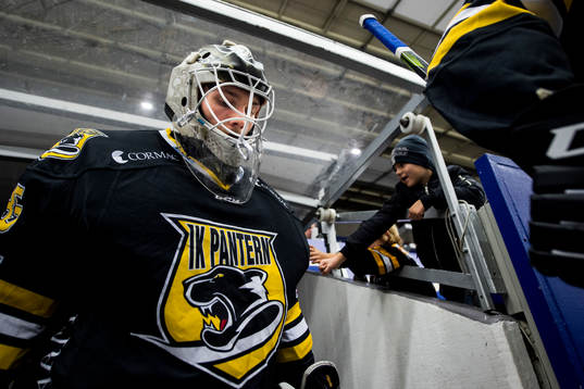under ishockeymatchen i Hockeyallsvenskan mellan Pantern