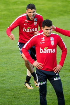 Mohamed and Tarik Elyounoussi of Norway