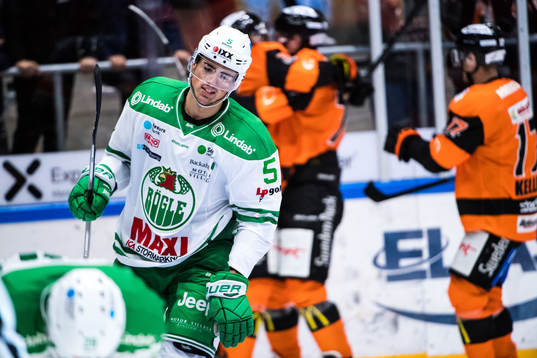 Rögles Alen Bibic deppar
