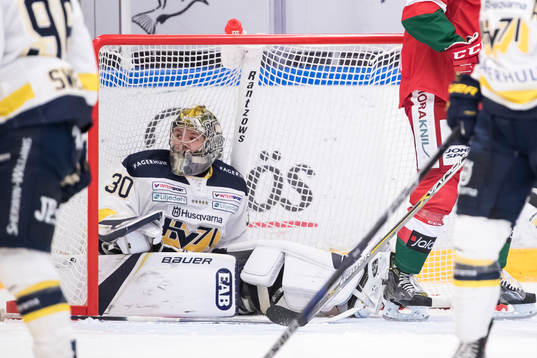 s målvakt Linus Söderström  i ishockeymatchen i SHL