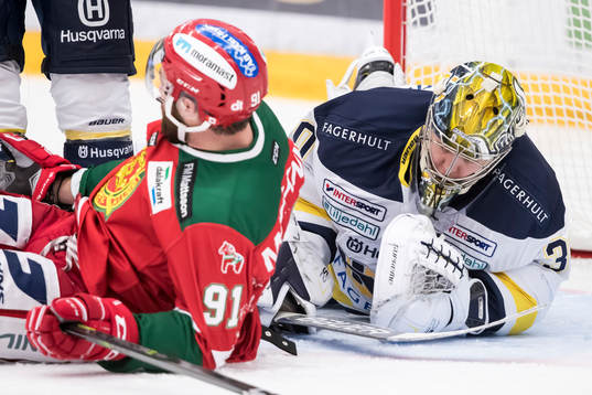 s målvakt Linus Söderström  i ishockeymatchen i SHL